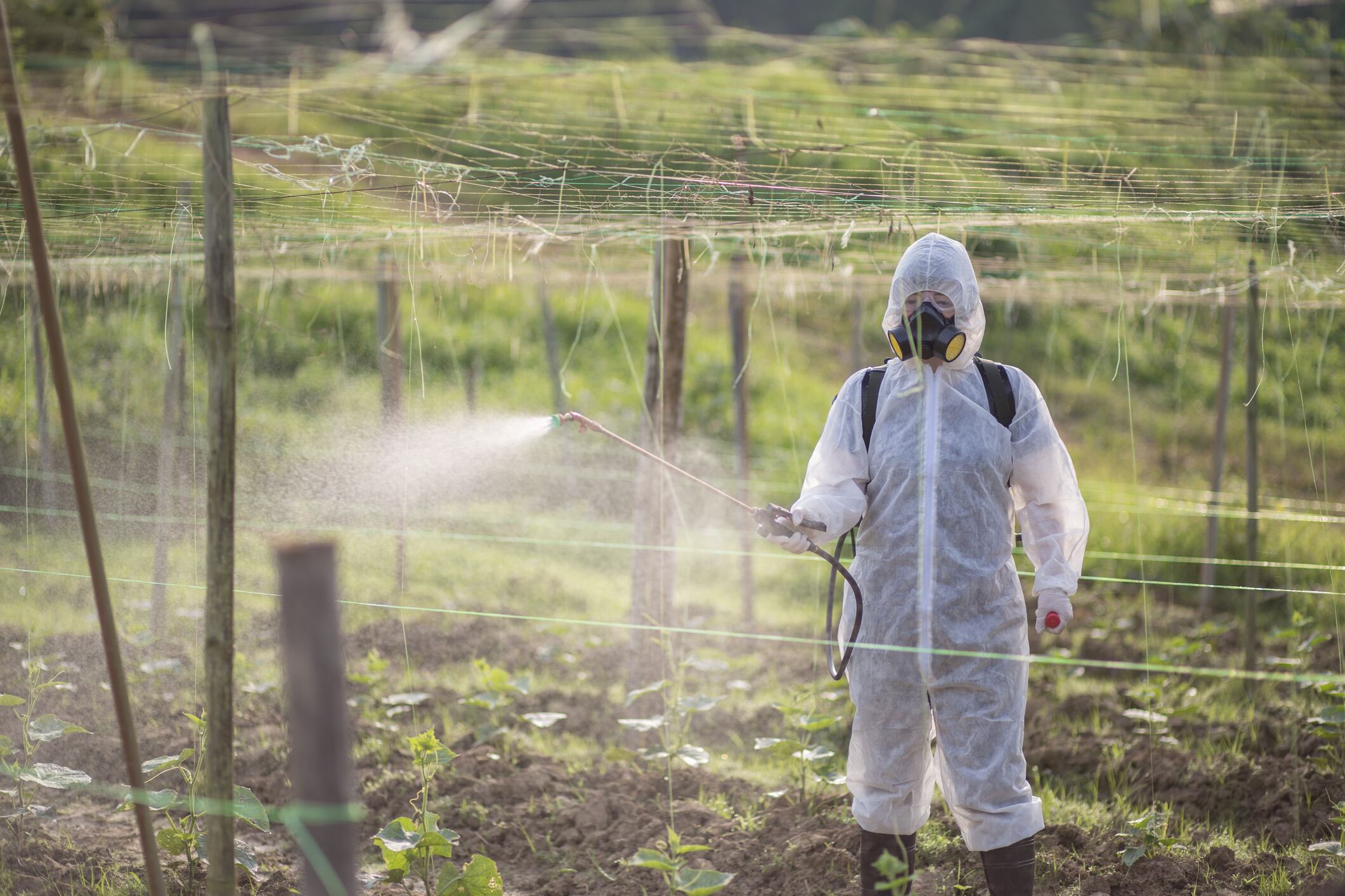 Chinese Female farmer with protective suit manual pesticide sprayer on her plantation