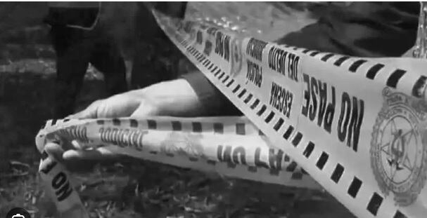 Imagen de referencia. / Foto: Archivo.