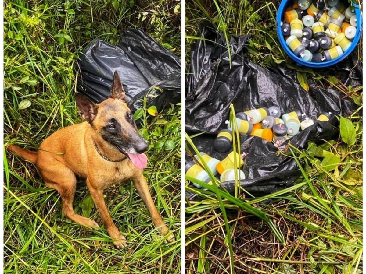 Más de 200 minas antipersona fueron destruidas en el Cauca