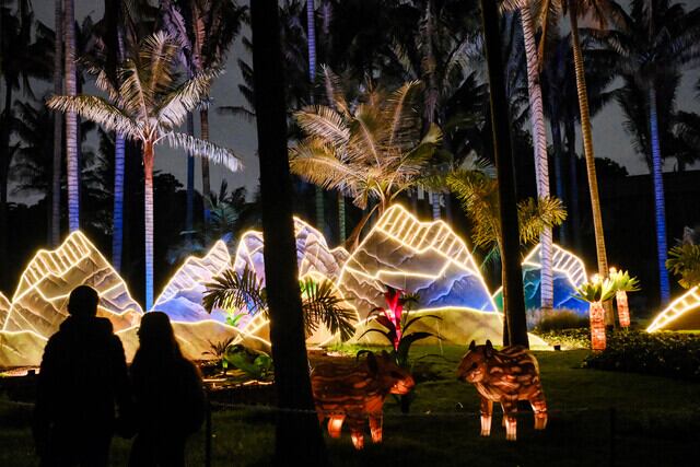 Alumbrado en el Jardín Botánico. I Foto: Colprensa.
