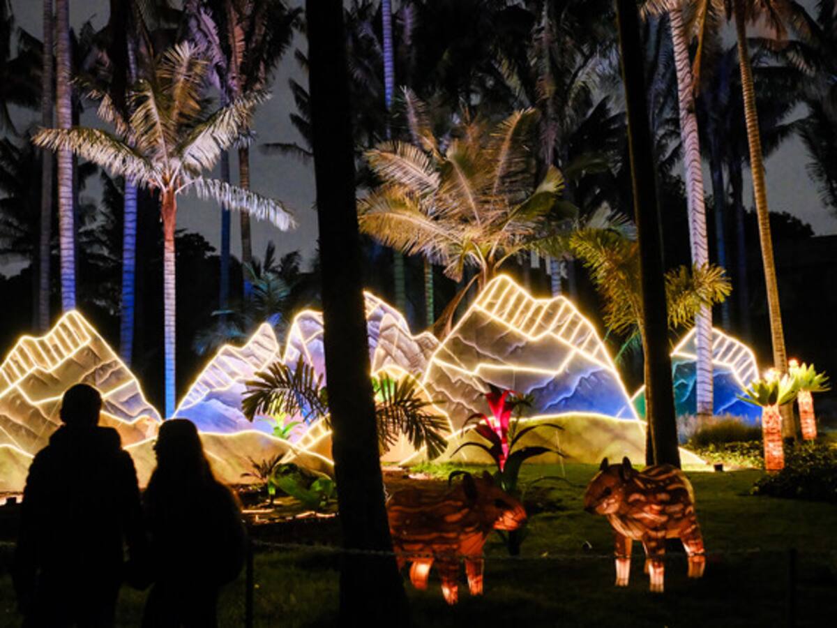 ¡Agéndese! Alumbrado en el Jardín Botánico iniciará este fin de semana: precios y horarios