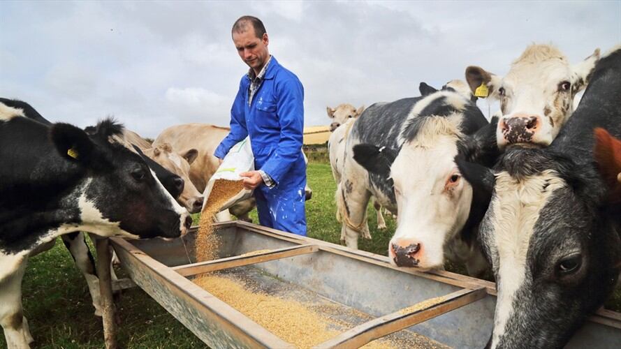 Imagen de referencia. Foto: Getty Images