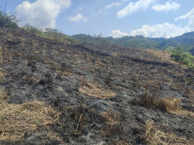 Ecocidio en el Distrito de Manejo Integrado Guásimo / Foto: Oficial Carder