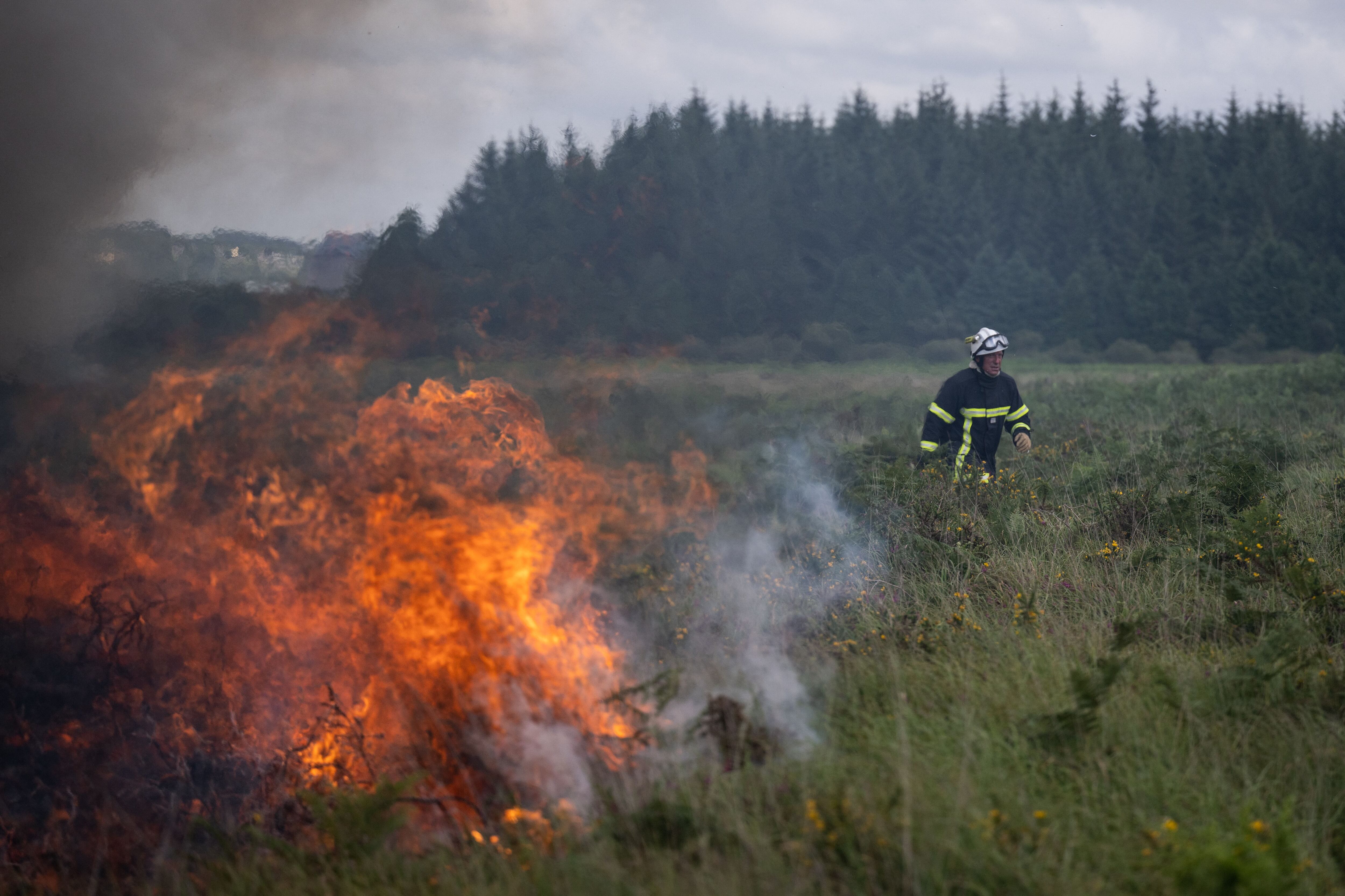 Los bomberos rocían agua sobre un incendio forestal que arrasa Monts d'Arree, cerca de Brasparts, Bretaña, el 19 de julio de 2022. (Photo by LOIC VENANCE / AFP) (Photo by LOIC VENANCE/AFP via Getty Images)