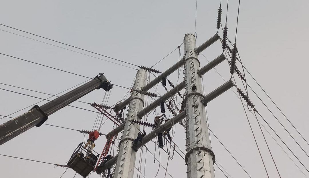 Imagen de referencia