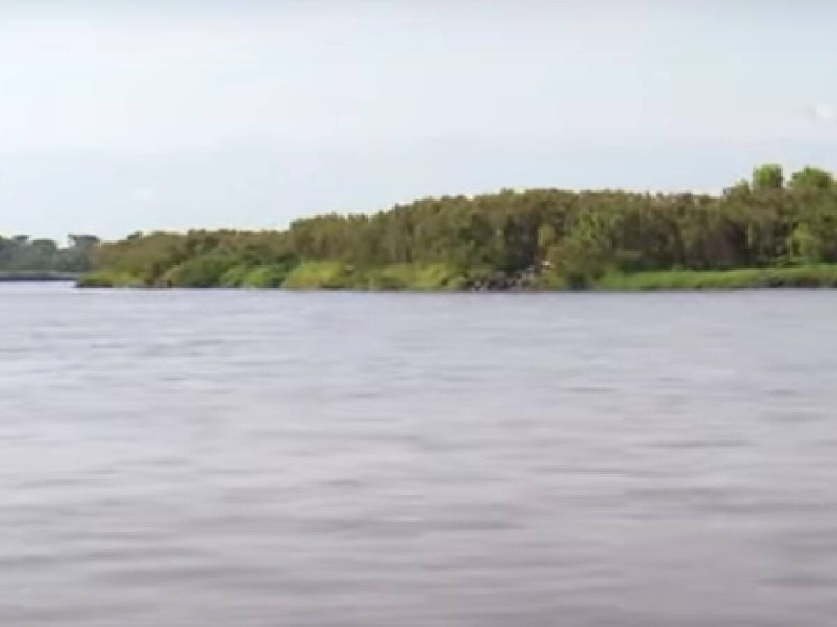 Advierten pérdida de cultivos por los bajos niveles en el río Magdalena