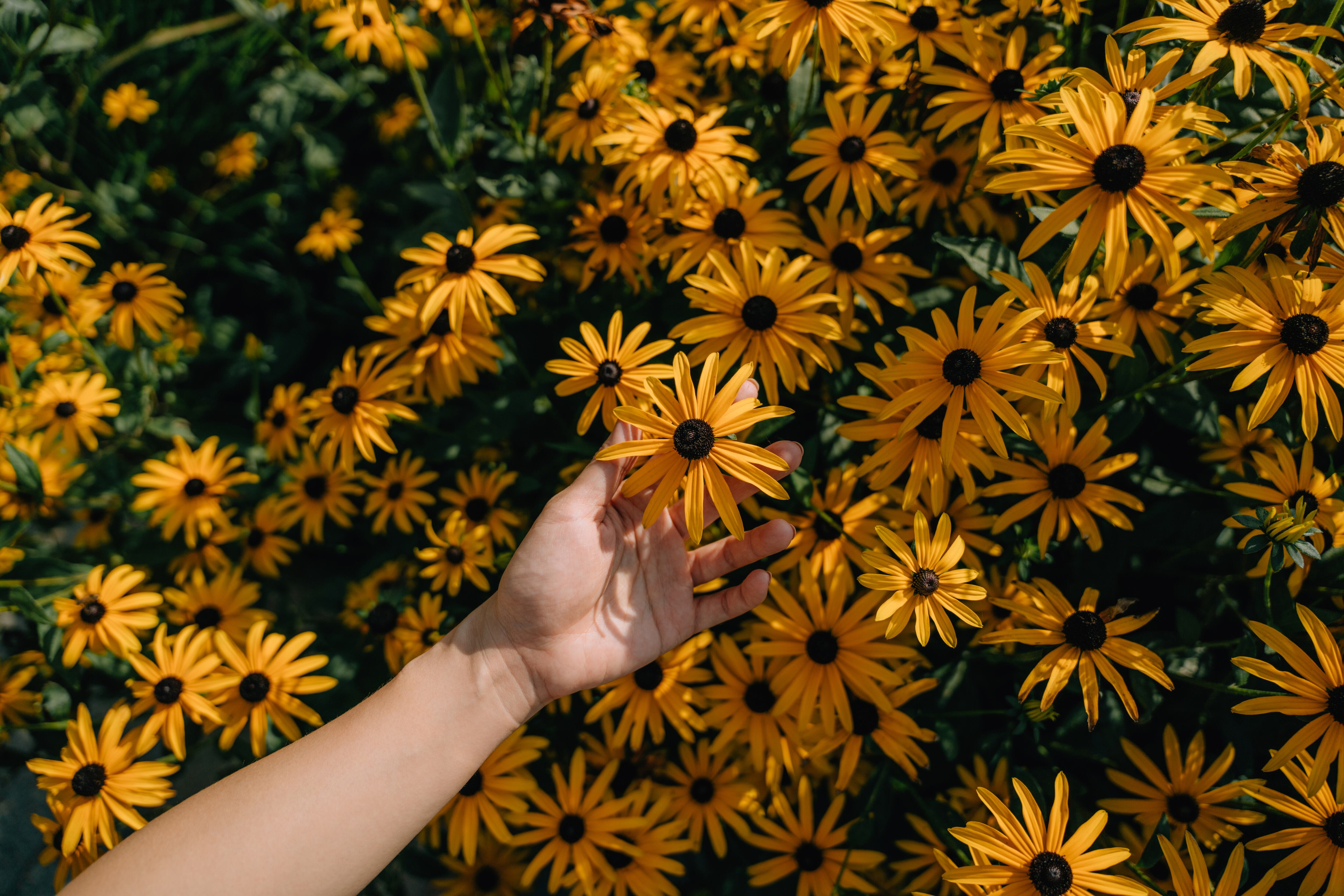 Imagen de referencia. Foto: Getty Images.