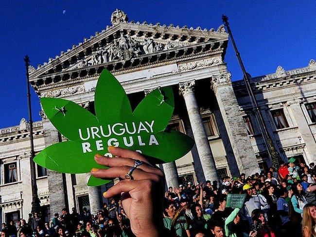 En Uruguay planean abrir gradualmente el mercado de cannabis a los turistas