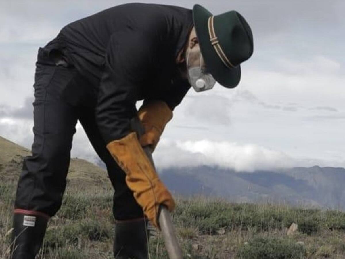 Comienza erradicación de especies invasoras que afectan páramos en Boyacá