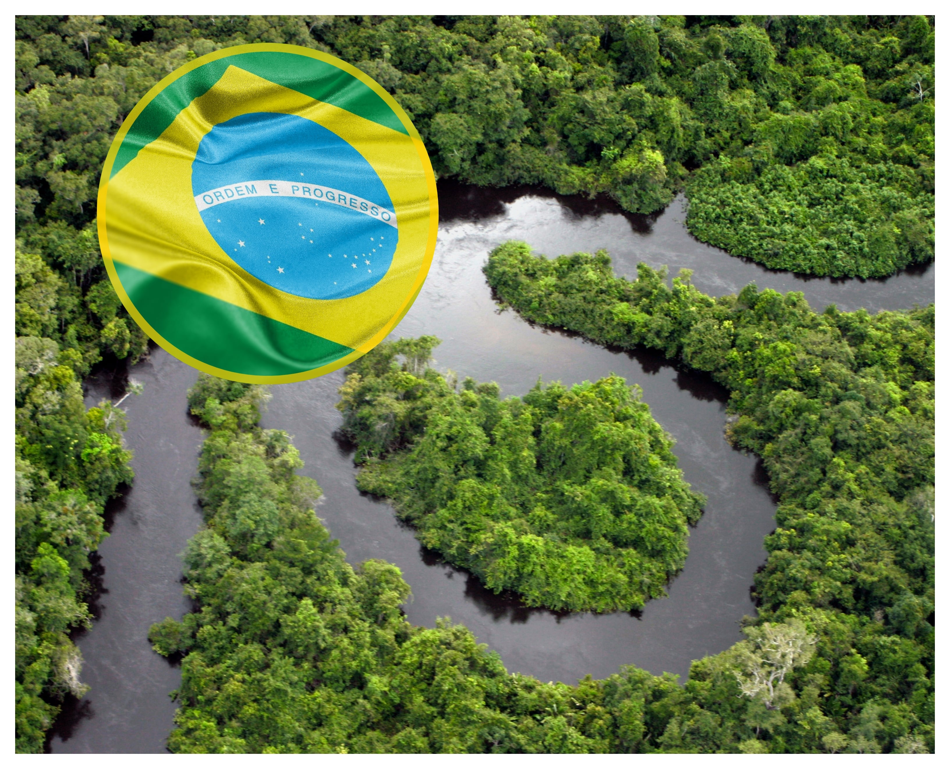 Selva amazónica brasileña. FOTO: LeoFFreitas