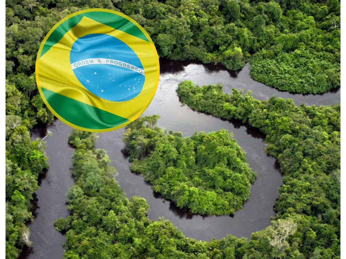 Brasil quiere ganar poder blando con la exportación de productos amazónicos