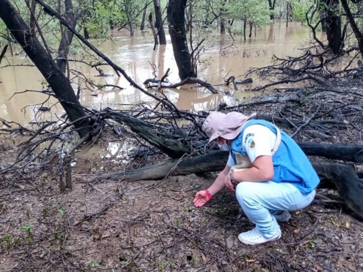 Parques Nacionales declaró la alerta amarilla sobre el Tayrona