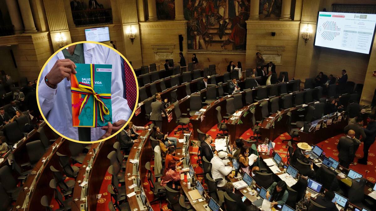 Reforma a la Salud: ¿Qué dicen los artículos aprobados? Cambios claves