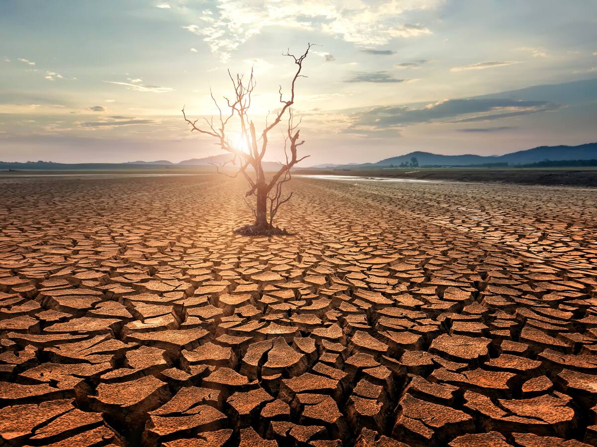 Riesgos globales 2022: Crisis social y fracaso climático