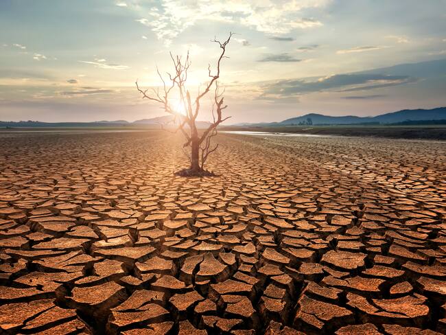 Riesgos globales 2022: Crisis social y fracaso climático