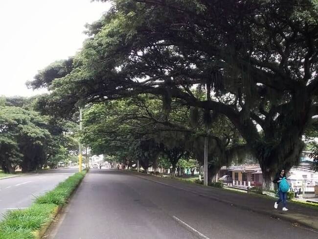 Tres de los homicidios se registraron en la zona urbana de la localidad. Crédito: Colprensa.