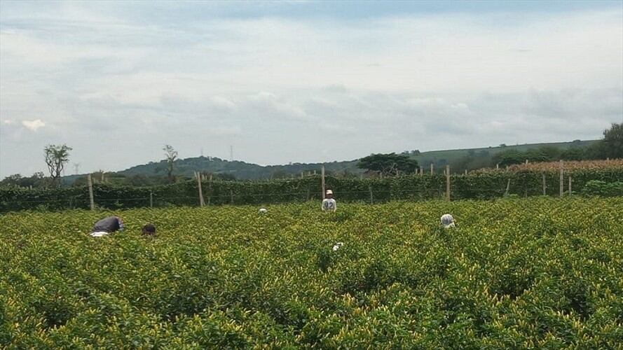 Imagen de referencia. Foto: Colprensa.