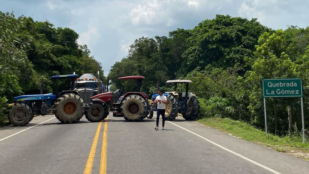 Ya hay fecha para iniciar diálogos entre arroceros y Gobierno