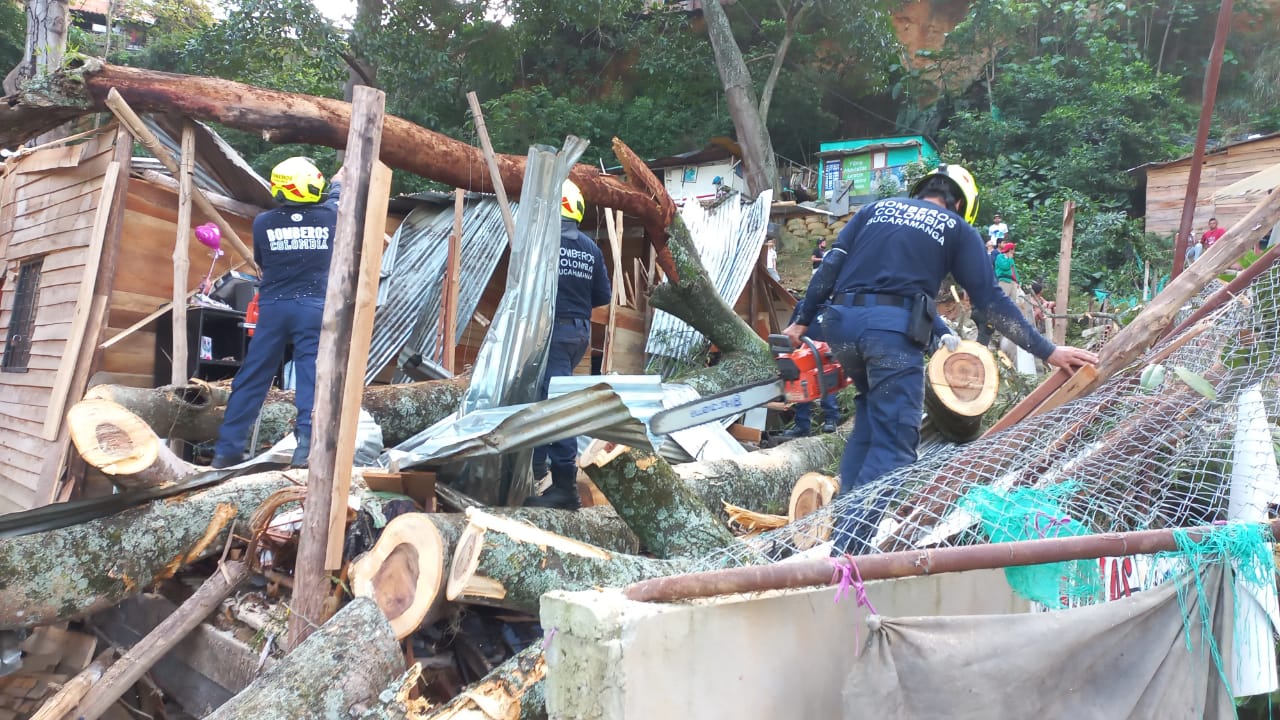 Luto en Bucaramanga: Dos migrantes venezolanos murieron por caída de árbol. Cortesía Cuerpo de Bomberos.
