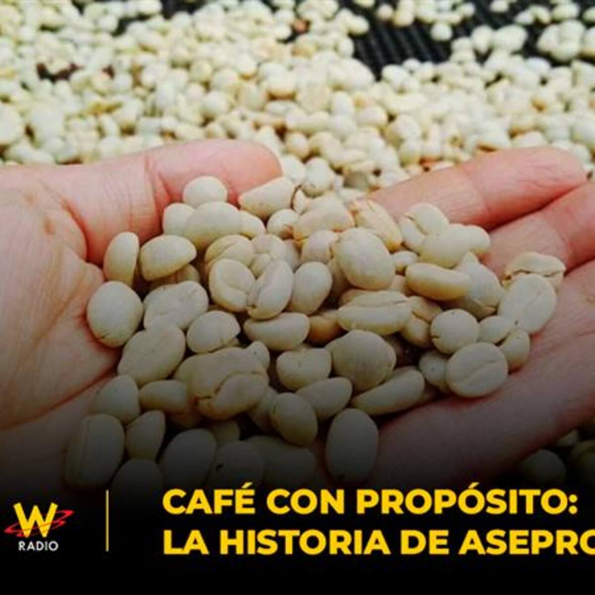 Café con propósito: la historia de Asepropaz