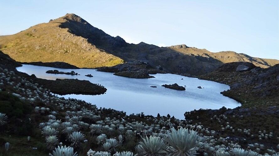 Páramo de Santurbán . Foto: Colprensa