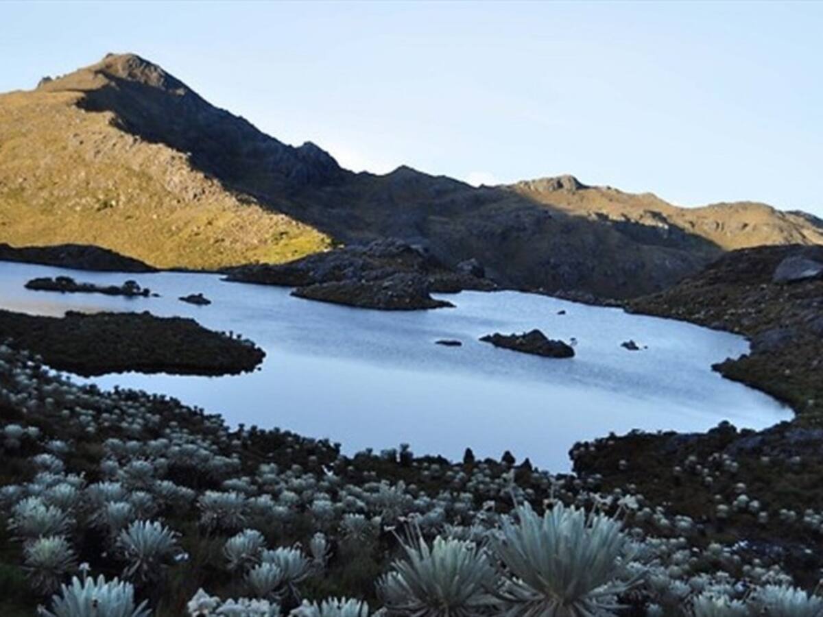 Aún no se conoce fecha para que la Anla responda al pedido de licencia de Minesa