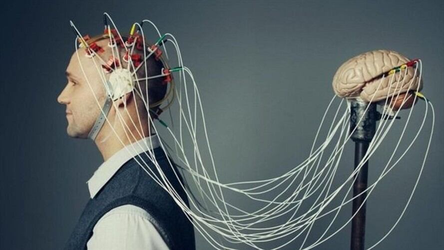 ¿Es el cerebro humano "la gran cosa", como nos gusta creer?. Foto: BBC Mundo