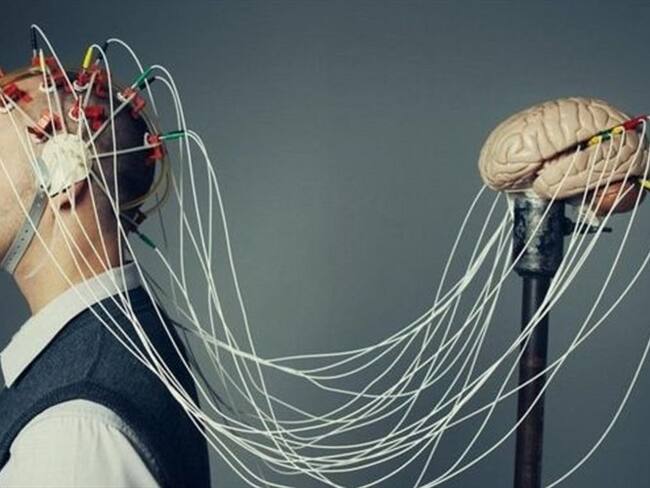 ¿Es el cerebro humano "la gran cosa", como nos gusta creer?. Foto: BBC Mundo