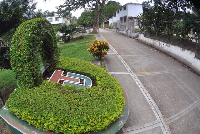 Universidad del Tolima. Foto: Colprensa
