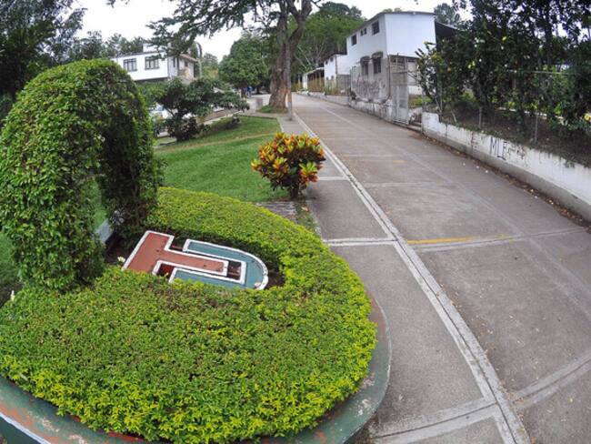 Universidad del Tolima. Foto: Colprensa