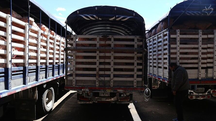 De acuerdo con el reporte de Corabastos, no hay desabastecimiento pues en promedio han ingresado a la capital 7.844 toneladas de comida. Foto: Colprensa / CAMILA DÍAZ