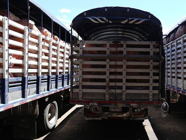 De acuerdo con el reporte de Corabastos, no hay desabastecimiento pues en promedio han ingresado a la capital 7.844 toneladas de comida. Foto: Colprensa / CAMILA DÍAZ