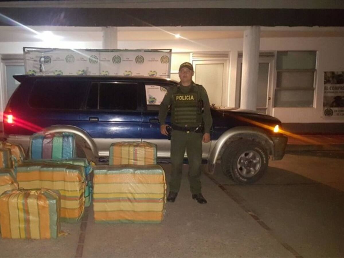 Incautan 600 kilos de marihuana en el norte del Cauca