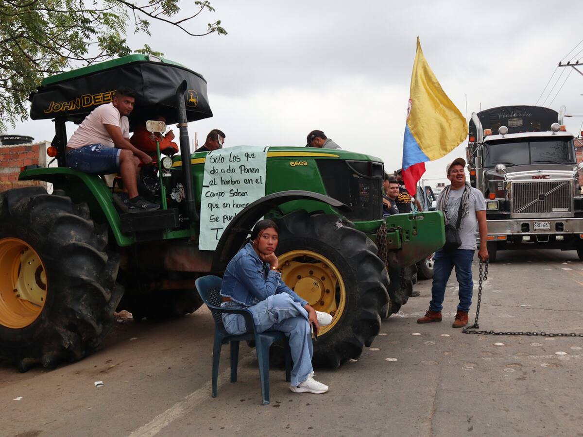 Expectativa en arroceros en Cúcuta por apoyo económico especial que recibirían del gobierno nacional