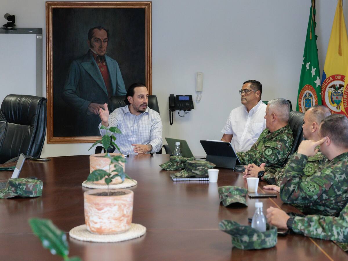 A Risaralda llegarán tres pelotones del ejército para reforzar la seguridad al occidente