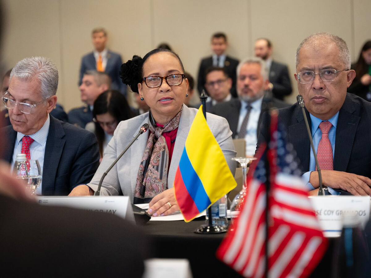 No buscamos coexistir con el narcotráfico: viceministra Elizabeth Taylor Jay