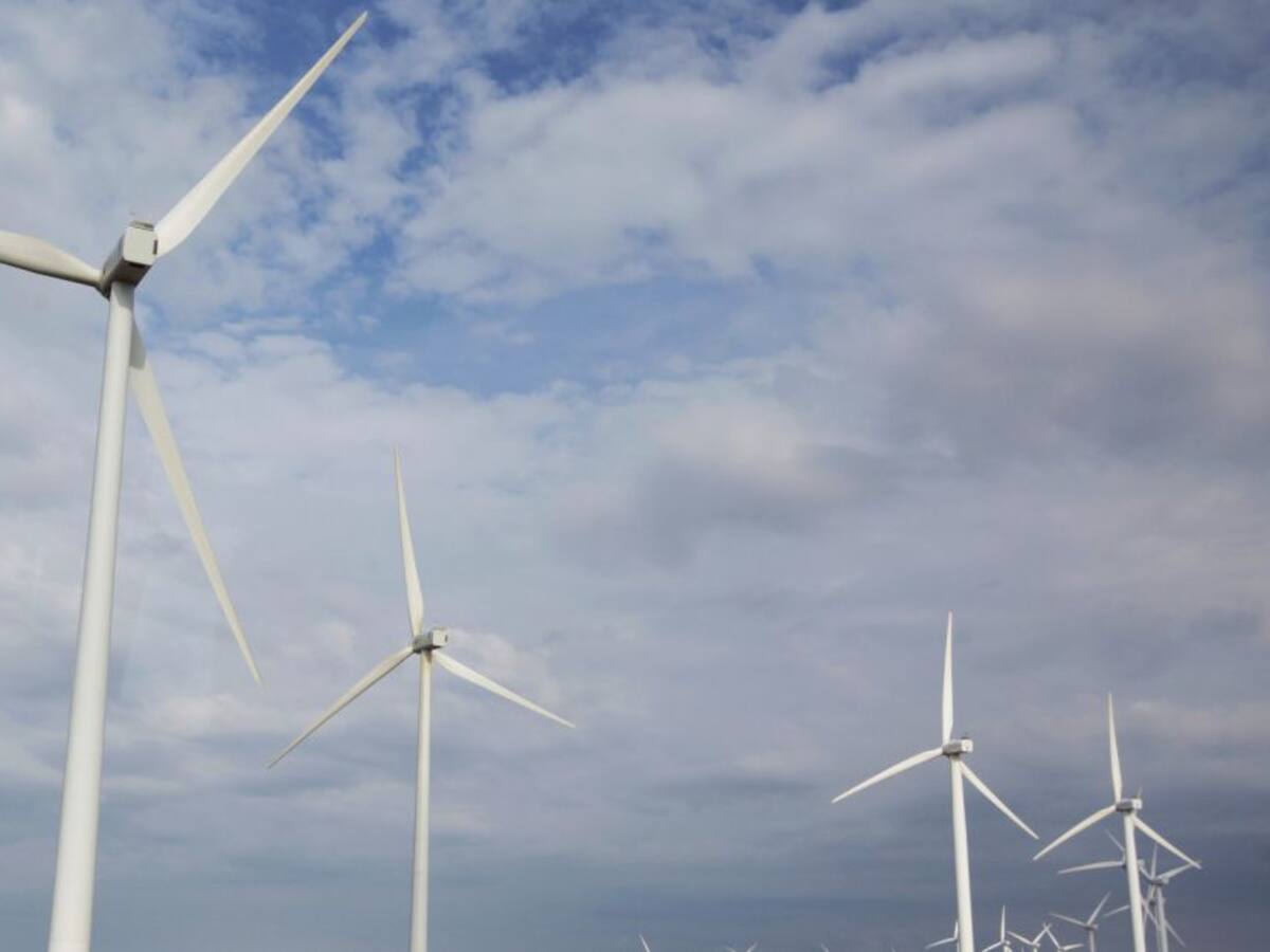 ANLA deja en firme licencia ambiental para línea eléctrica entre parques eólicos en La Guajira