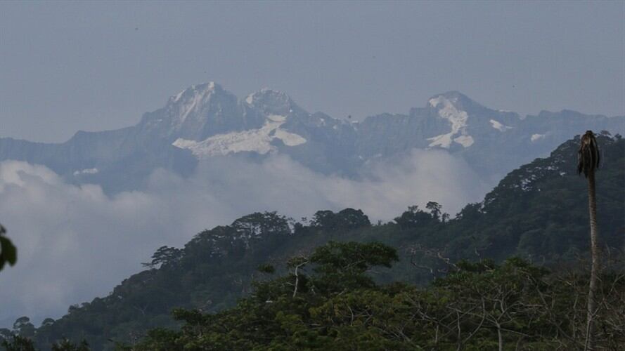 La Ciénaga Grande de Santa Marta, hoy Santuario de Flora y Fauna, categoría establecida por Parques Nacionales Naturales, posee diversos ecosistemas de manglar, ríos, caños y pantanos . Foto: