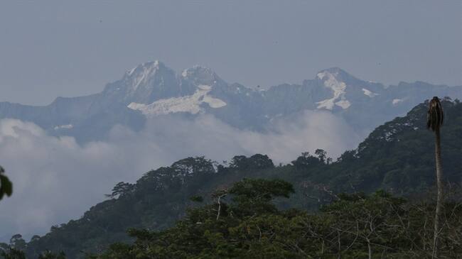 La Ciénaga Grande de Santa Marta, hoy Santuario de Flora y Fauna, categoría establecida por Parques Nacionales Naturales, posee diversos ecosistemas de manglar, ríos, caños y pantanos . Foto: