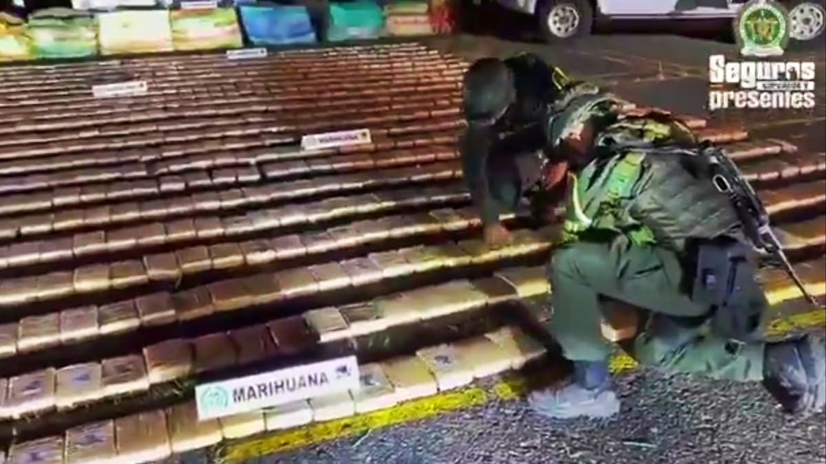 Cayeron 4 toneladas de marihuana de las disidencias de las Farc en el Cauca