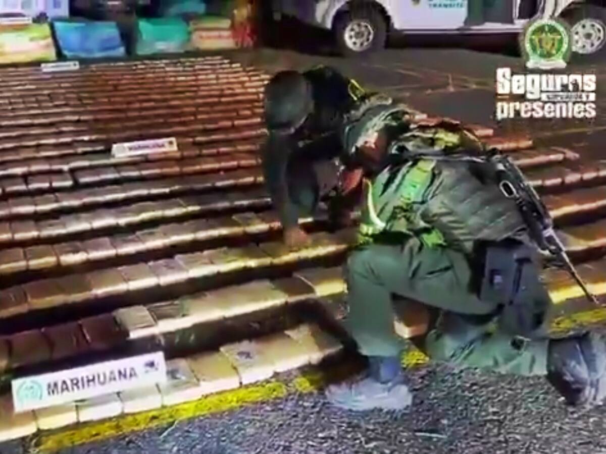 Cayeron 4 toneladas de marihuana de las disidencias de las Farc en el Cauca