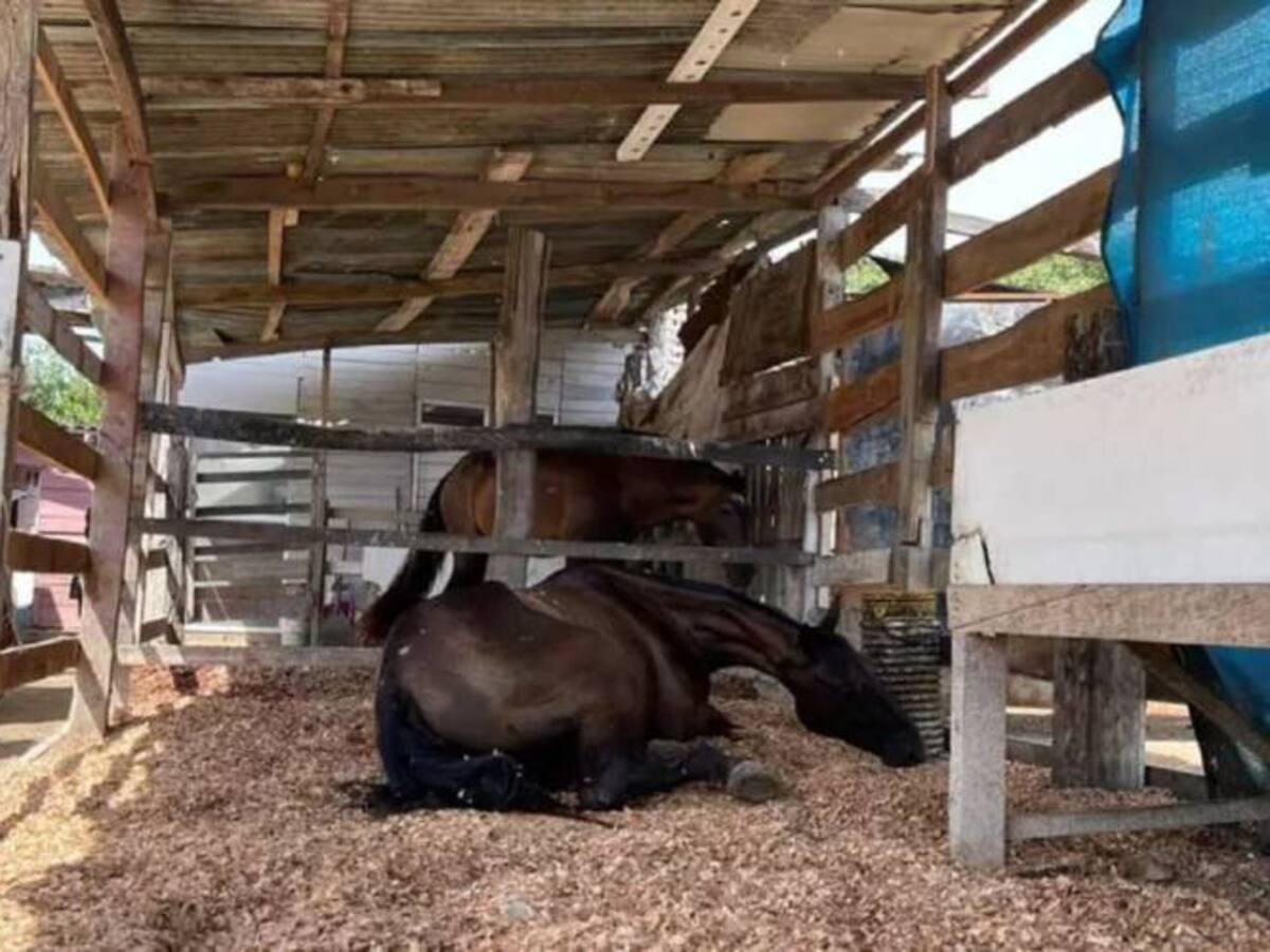 Procuraduría cita a directoras de Salud y de Umata de Cartagena