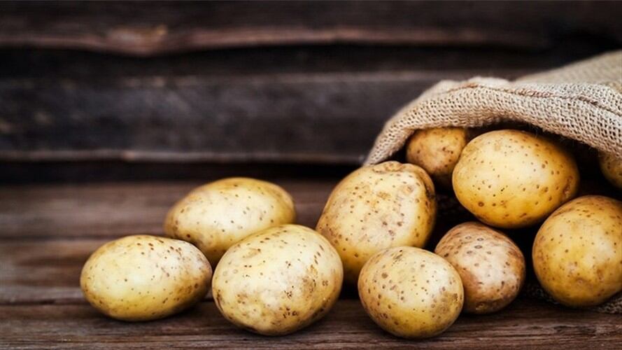 El Gobierno Nacional anunciará $30.000 millones como primer alivio para los productores de todo el país.. Foto: Getty Images