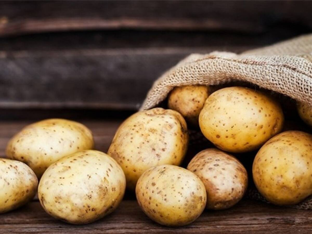 Gobierno destinará $14.000 millones en alivios para el sector de la papa en Boyacá