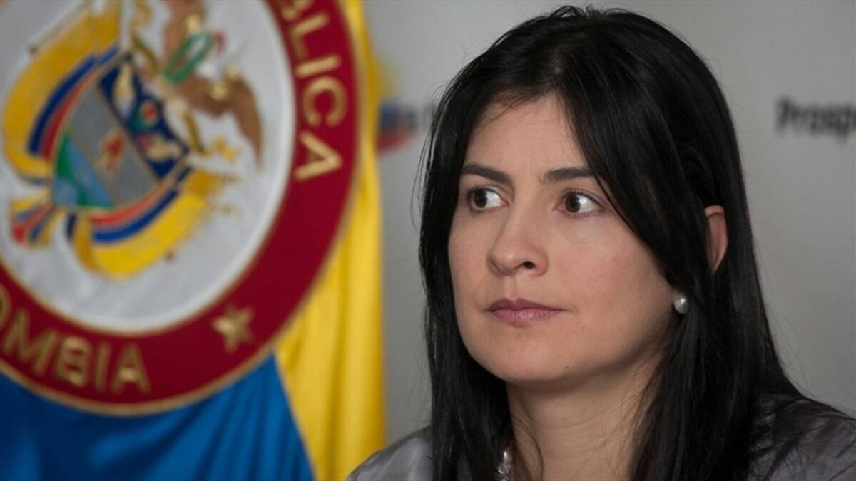 Carolina Soto y otros expertos asesorarán a las comisiones económicas del Congreso