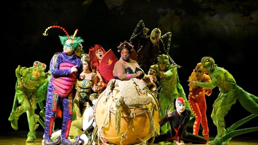 OVO, el show del Circo del Sol en números y datos divertidos. Foto: Circo del sol
