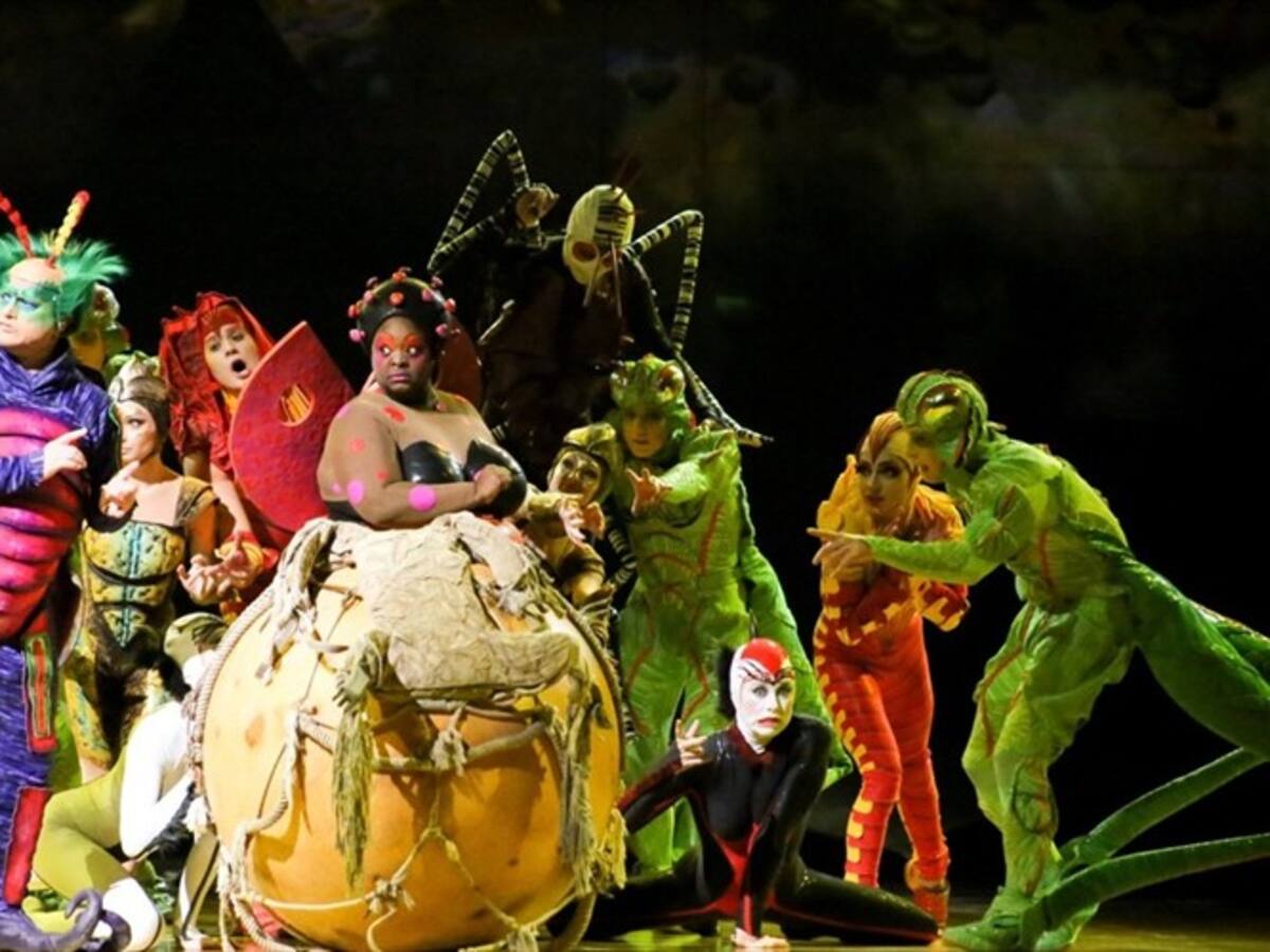 OVO, el show del Circo del Sol en números y datos divertidos