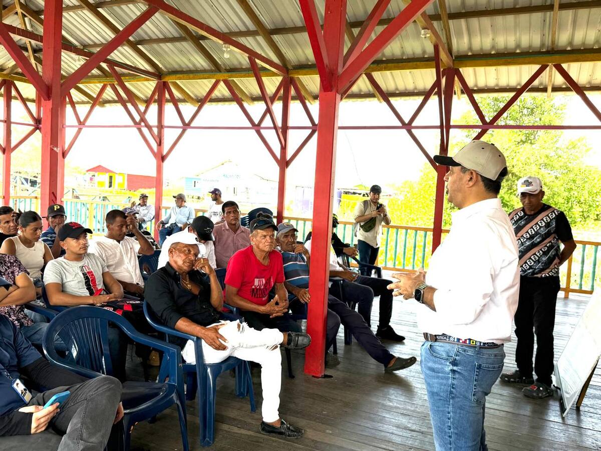 Autoridades ambientales confirman presencia de planta invasora en Nueva Venecia, Magdalena