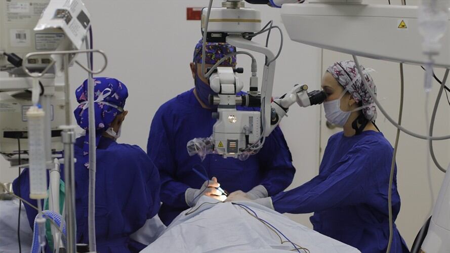 Foto: Clínica Clofán