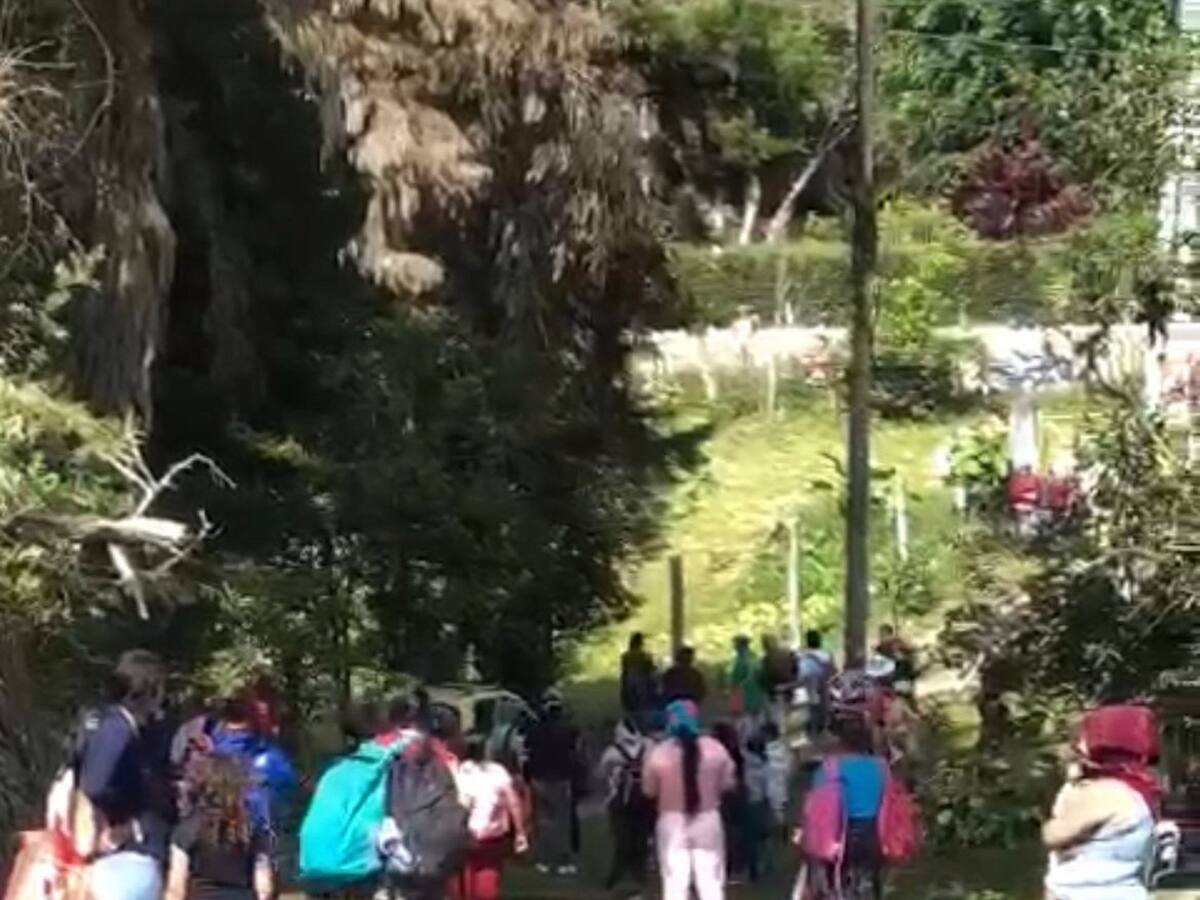 150 personas ingresaron con machete: alcaldesa de Dagua, sobre invasión a predio